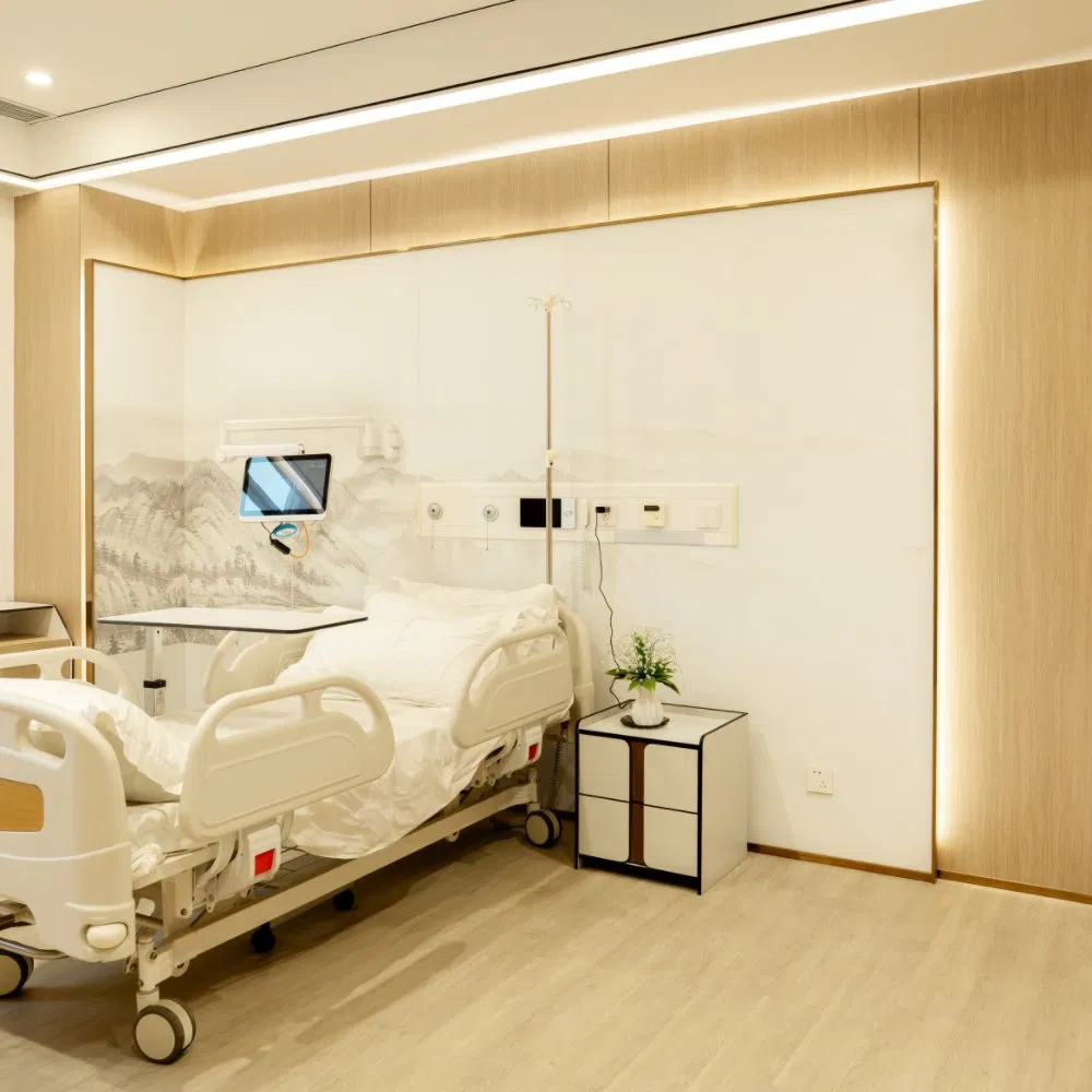 Multiple Surface Options Debo Compact Grade Laminate Interior Wall Sheets Price