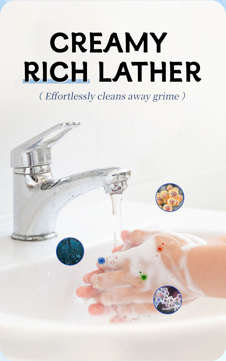 Hand Soap with Aloe Vera Olive Oil Essential Oils Antibacterial Hand Wash Soap Lasting Fragrance