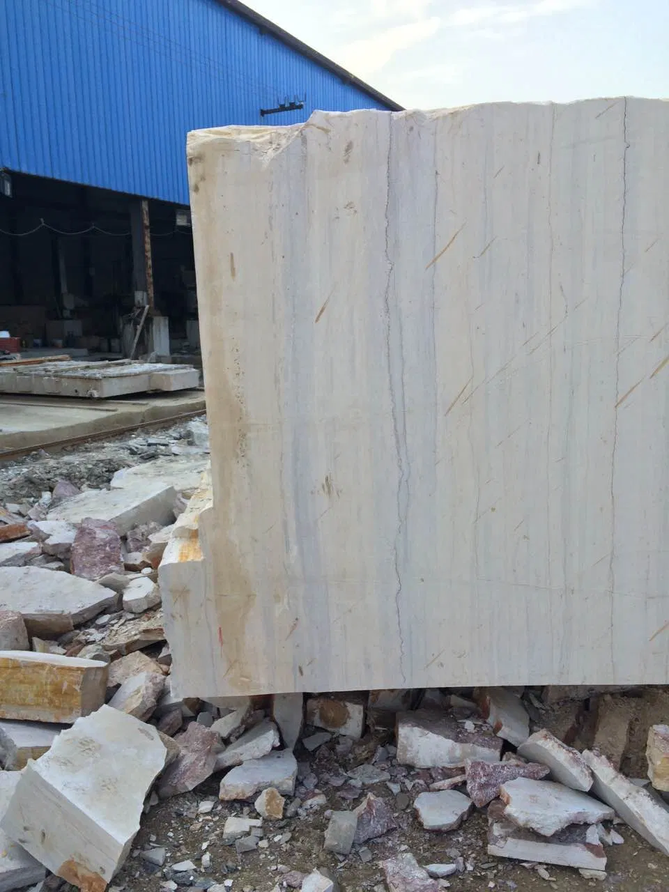 Popular Natural Ginkgo Wood Marble Slab and Tile for Hotel Wall Floor Decorate