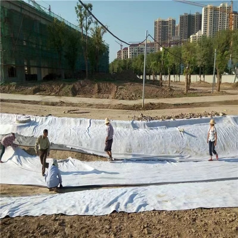 High-Performance Geosynthetic Clay Liner for Construction Material Filtration and Stabilisation