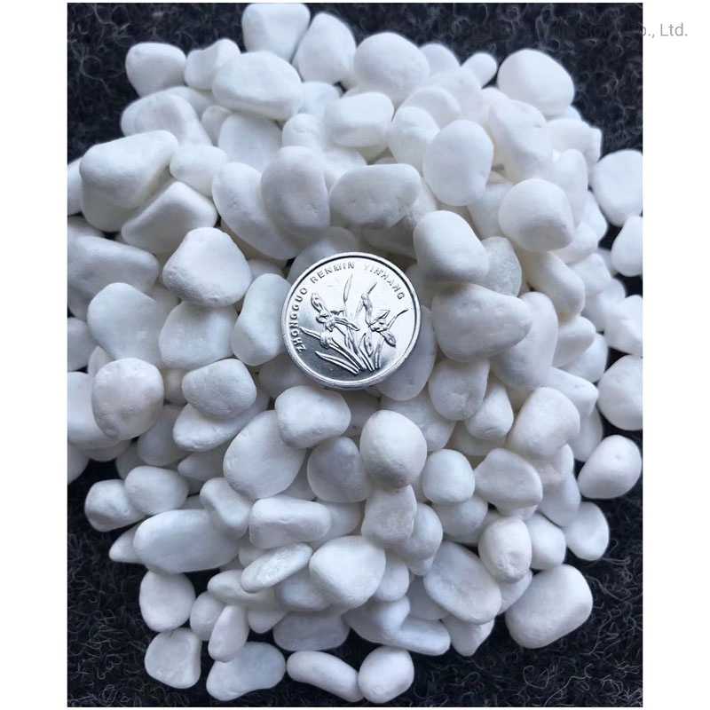 Wholesale Natural Snow White Garden Landscape Pebbles Graval Stone