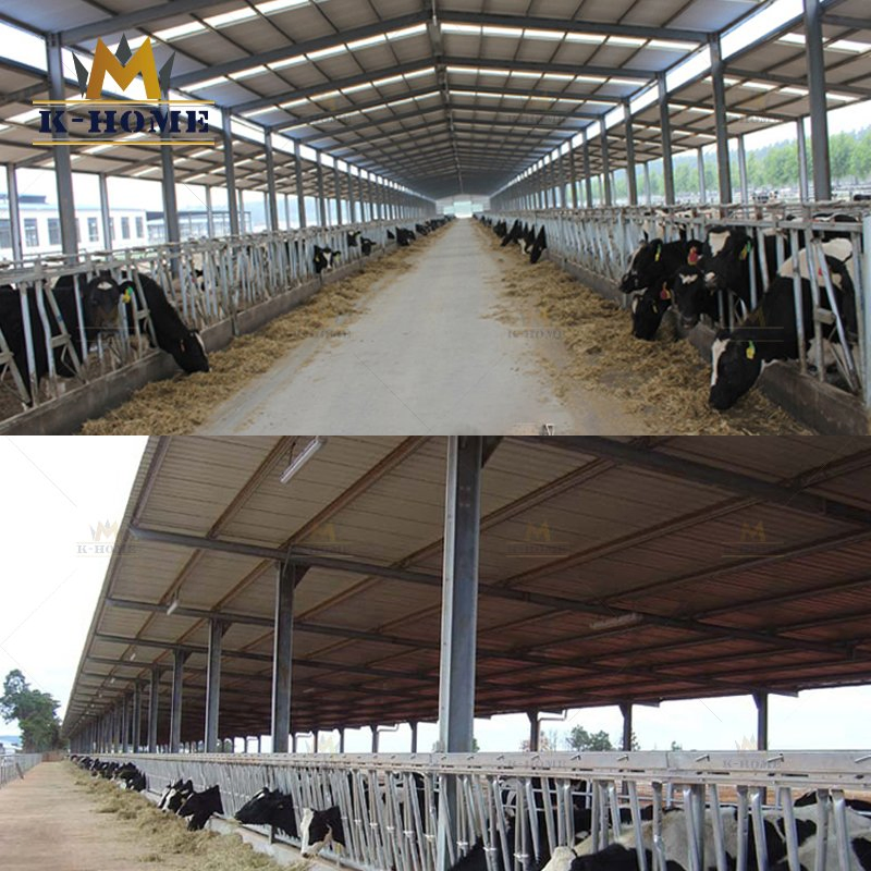 Steel Structure Farmhouse Shed Shelter Poultry House