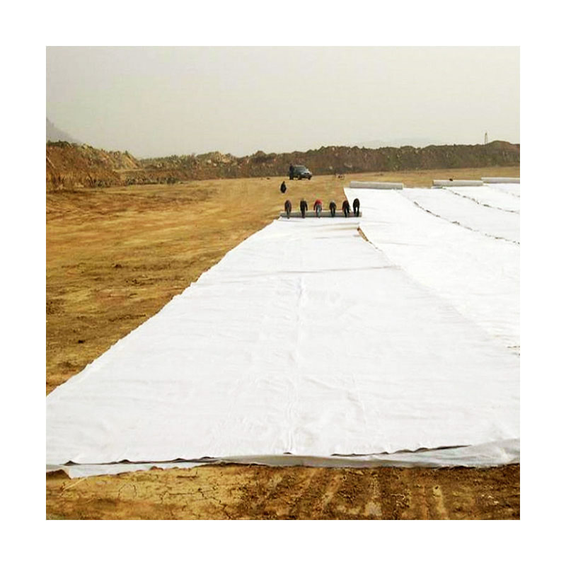 Dependable High-Strength Geotextile for Bank Protection