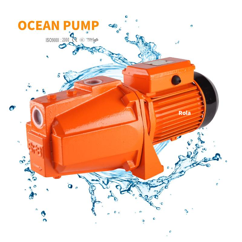 Hot Sale Garden Irrigation Jet Pump with High Quality Spare Parts