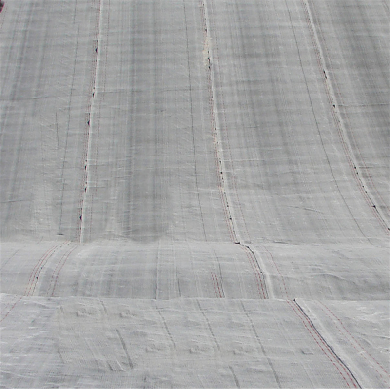 Gcl Bentonite Geosynthetic Clay Liner for Park Landfill Pond Anti-Seepage Anti-Erosion Water Containment at Affordably Priced