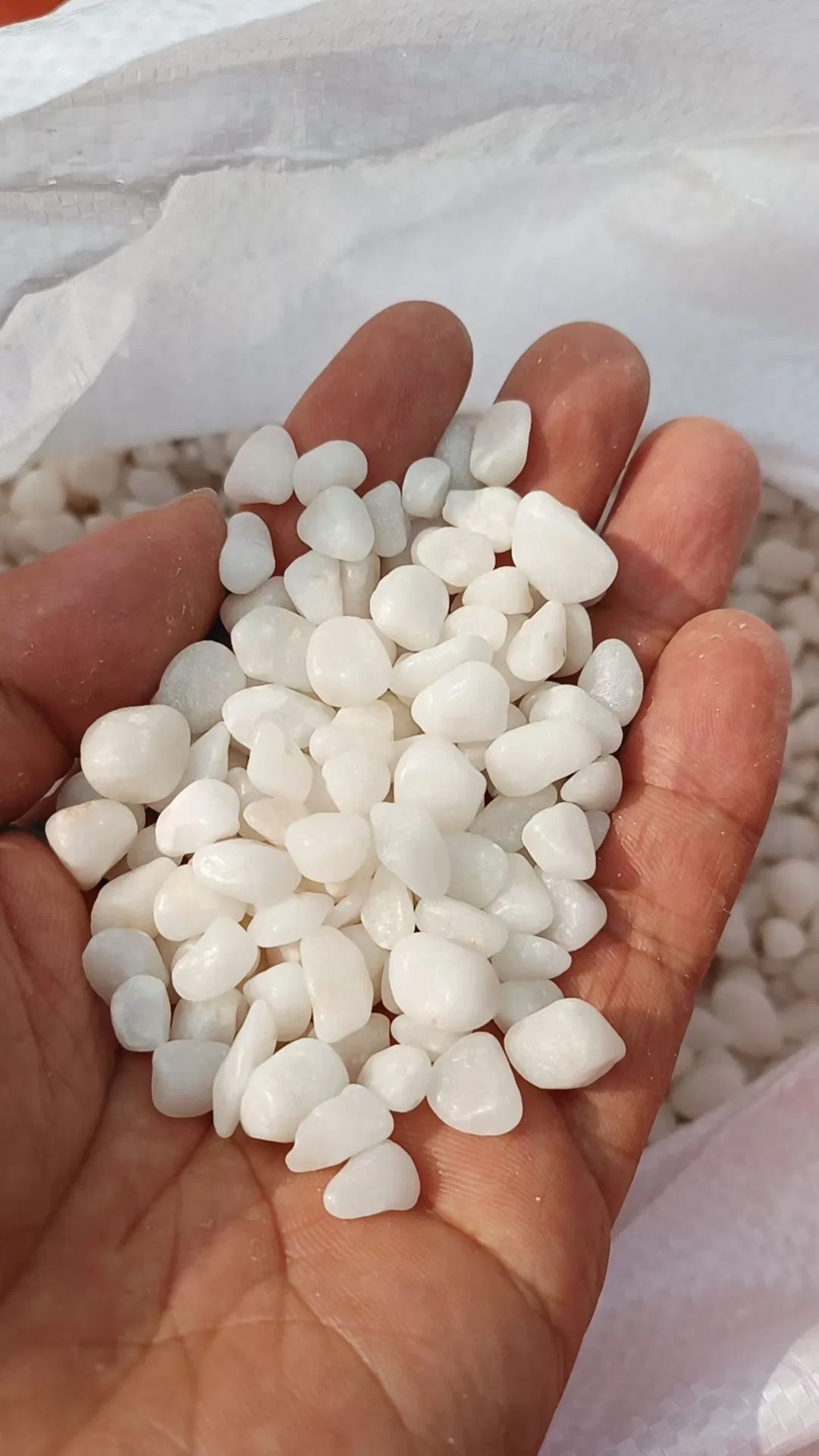 Decorative Tumbled Stones Snow White Wholesale Pebbles Paving Stones