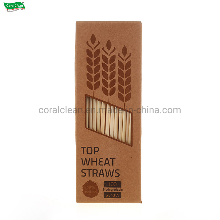 Customized Travel Organic Eco Friendly Compostable Straws Drinking Wheat Straw