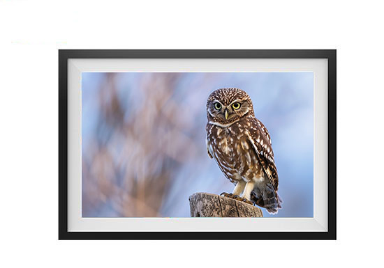 Affordable 15.6 Inch Digital Photo Frame for Retailers