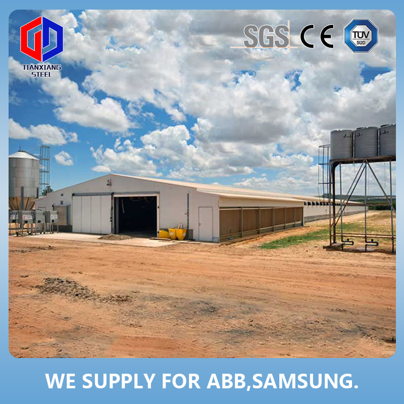 Light Steel Structure Warehouse/Metal House/Hangar/Car Garage/Workshop