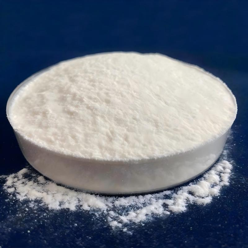 High Purity Hydroxypropyl Methylcellulose HPMC Powder for Building Materials