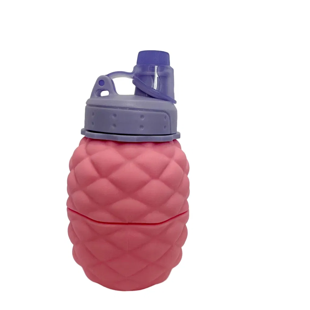 Foldable Collapsible Soft Sports Silicone Water Bottle for Running