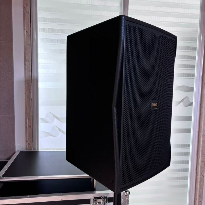 Powerful 10-Inch Domc K210 Speaker, 300W AES, 1200W Peak