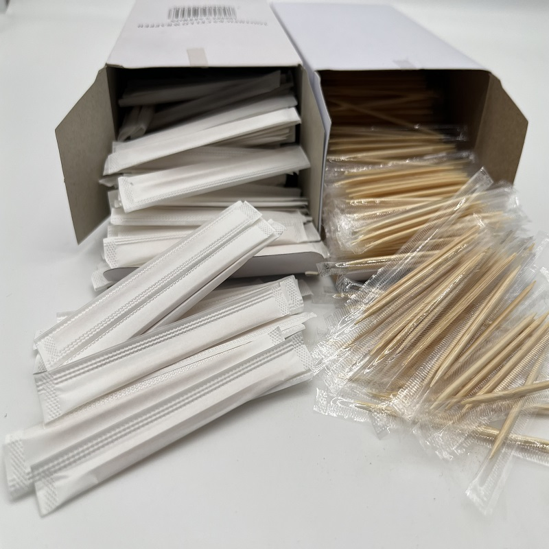 Toothpicks Box Small Portable Plastic Toothpick Holder