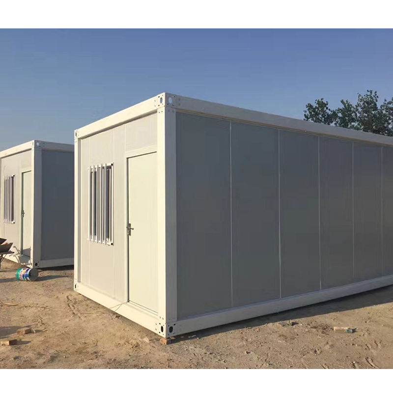 Super Low Cost Steel Tiny Living Container House for Sale