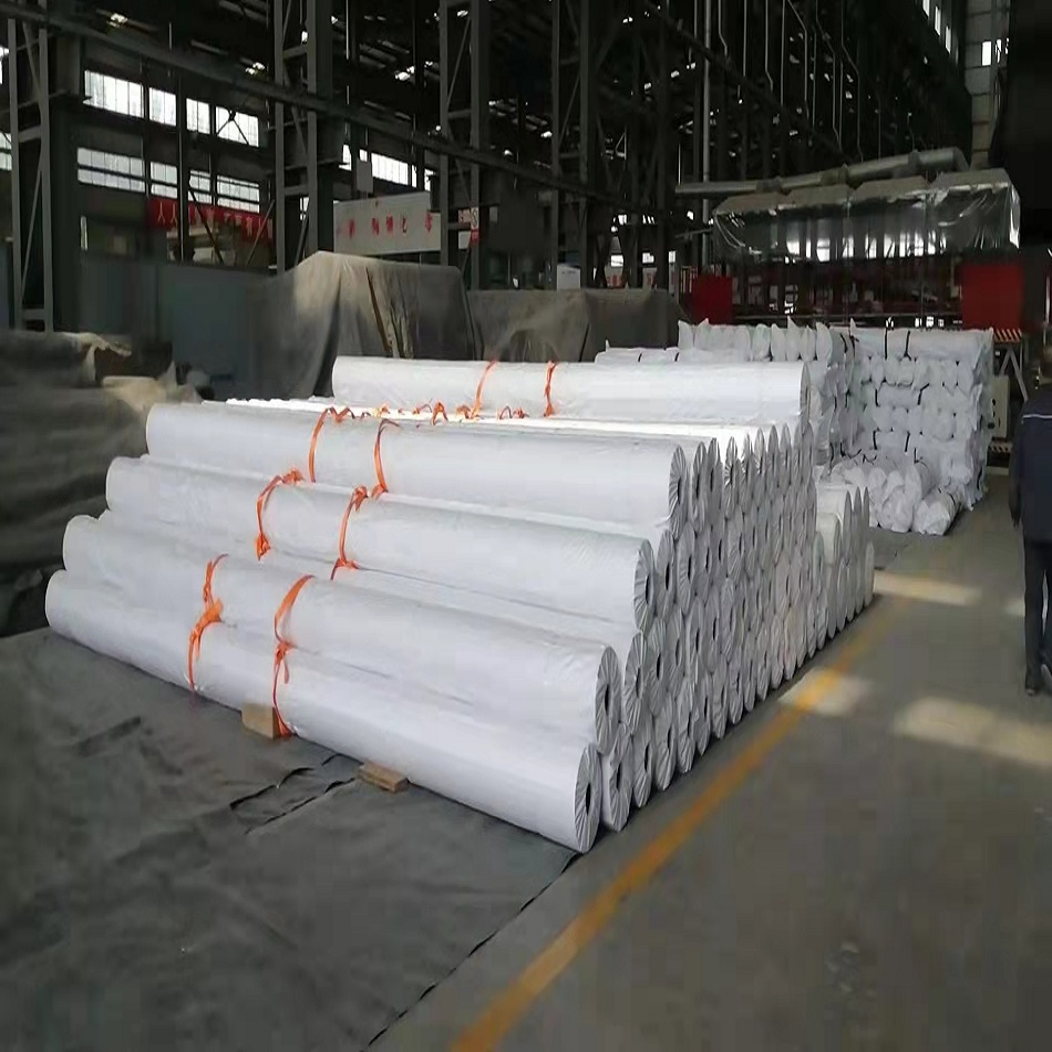Solation/Filtration/Drainage/Reinforcement/Protection/Puncture Prevention PP/Pet Geotextile for Tunneling, Coastal Mudflats, Reclamation, Environmental Protects