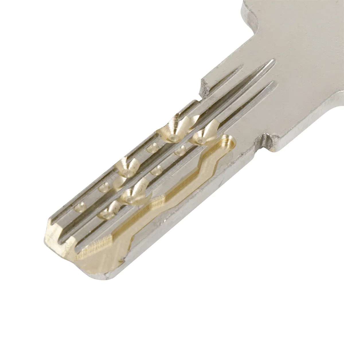 En1303 High Security Euro Profile Brass Door Lock Cylinder Snake Keyway (GMB-CY-26)