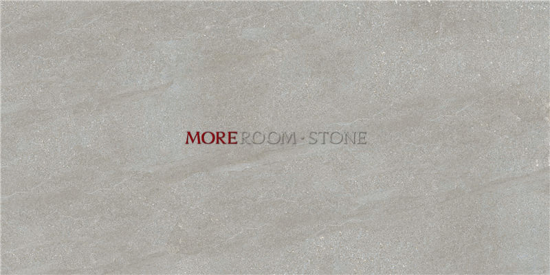 Light Grey Concrete Outside Floor Tile for Front Patio