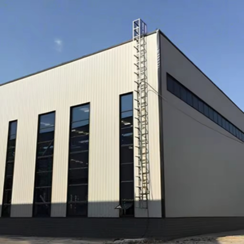 Light Steel Frame Structure for Industrial, Commercial, Residential, Agriculture