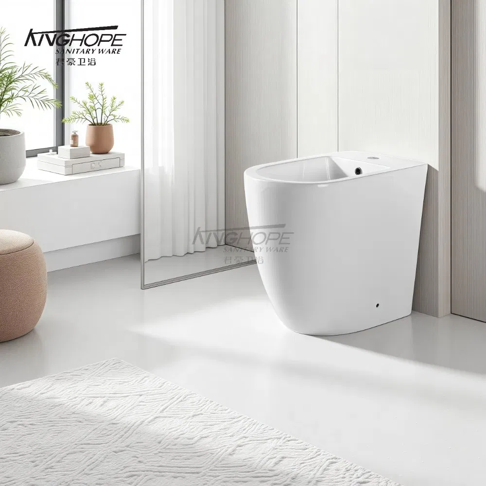 Hot Selling European Standard Ceramic Bathroom Woman Wc Bidet Floor-Standing Toilet Bidet