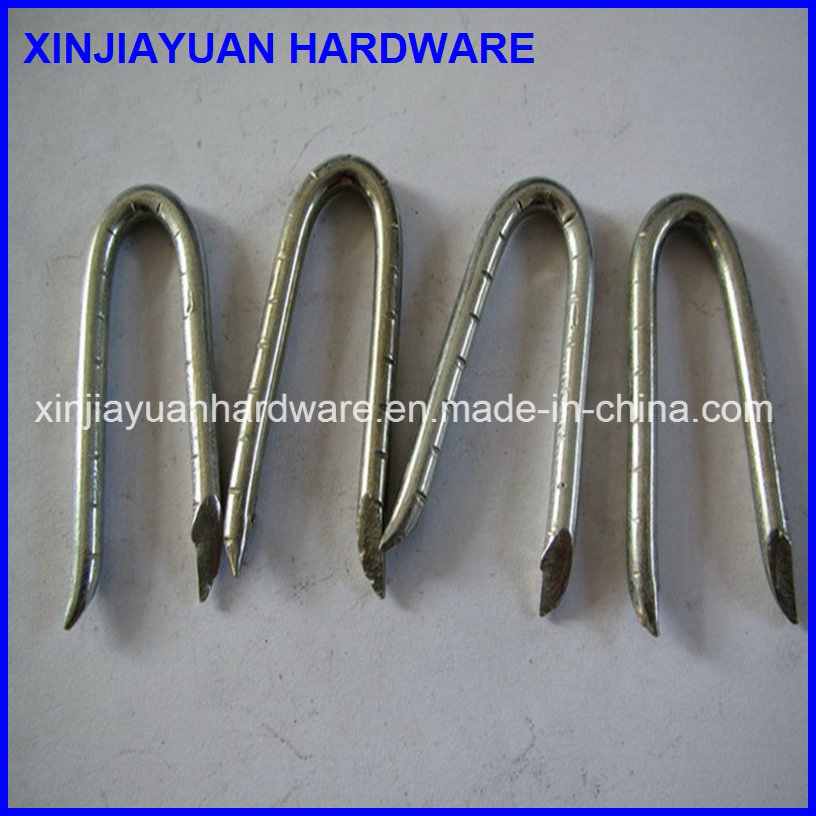 Electro Galvanized Metal U Fence Staple Nail with Cut Point