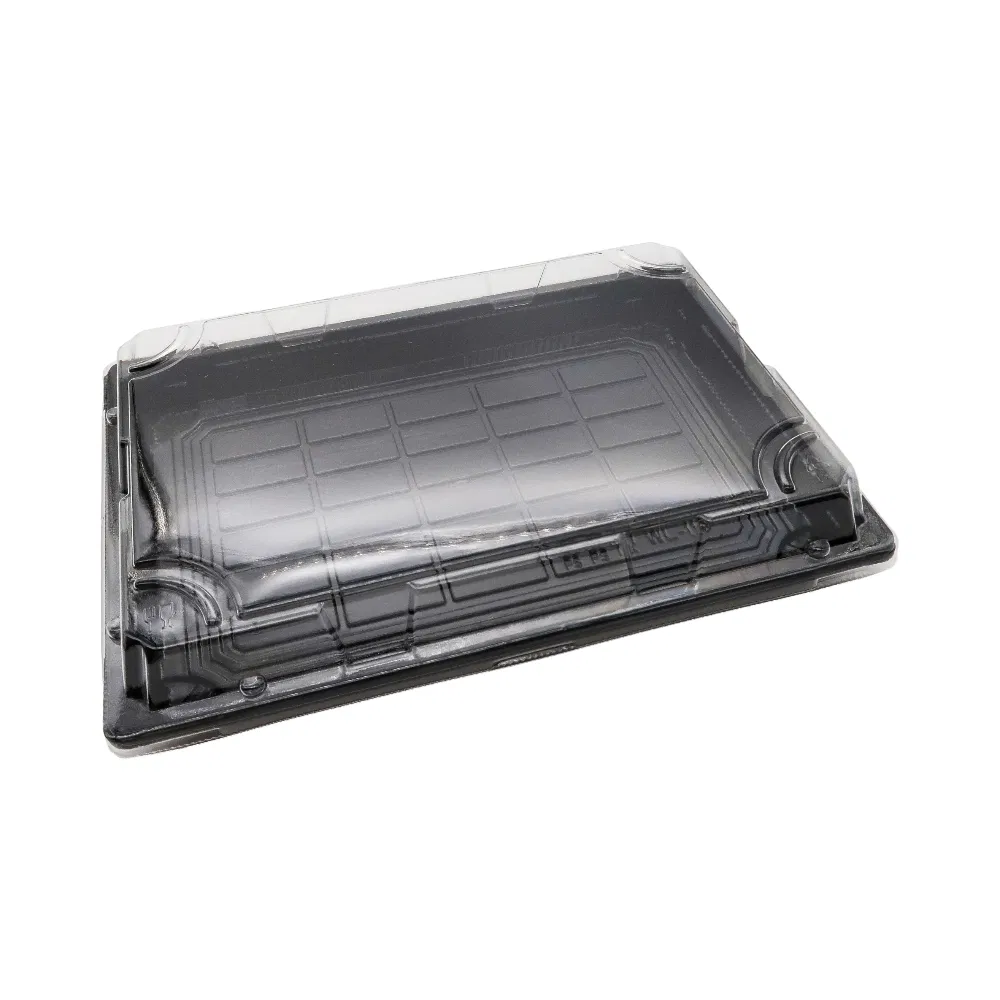 Eco Friendly Square Container Recyclable Plastic Disposable Sushi Take out Box