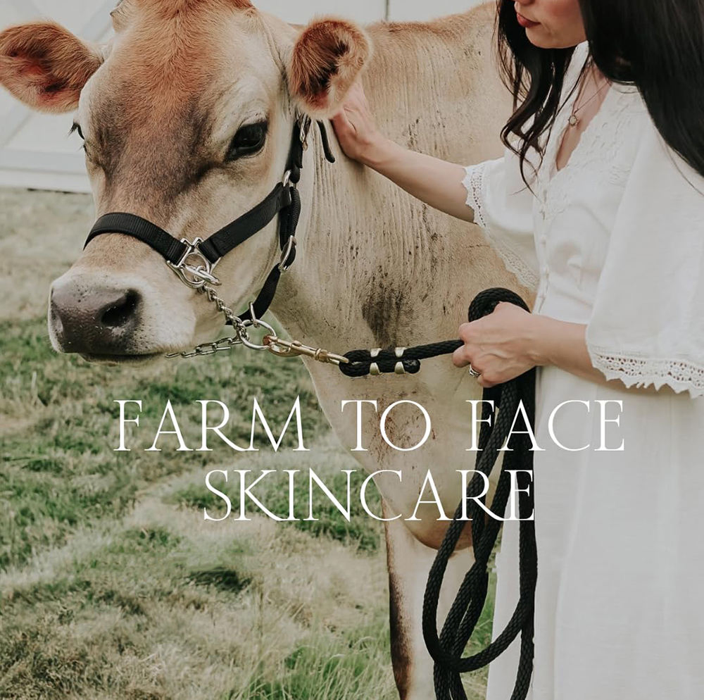 100% Grass Fed Tallow Lip Balm Vegan Hydrating Moisturizer Lip Butter Balm