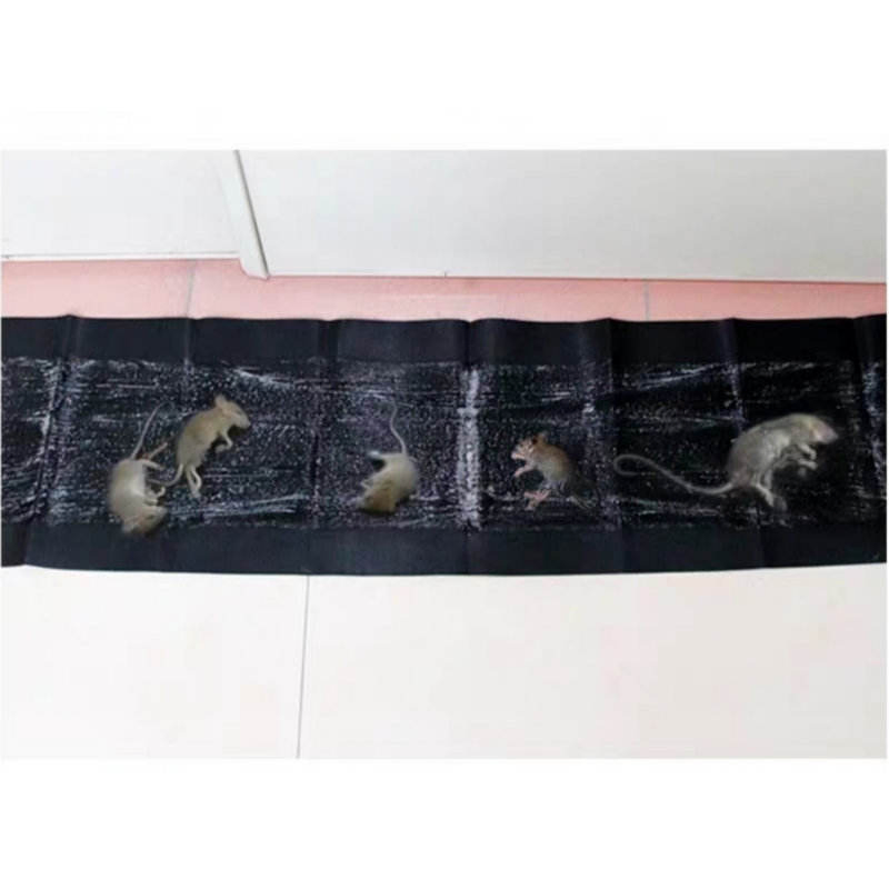 Factory Wholesale Large Mouse Rat Sticker Board