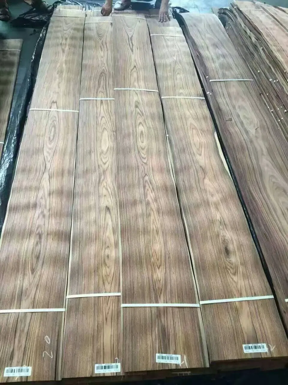 Factory Origin Myanmar Burma Teak Quarter Cut Veneer