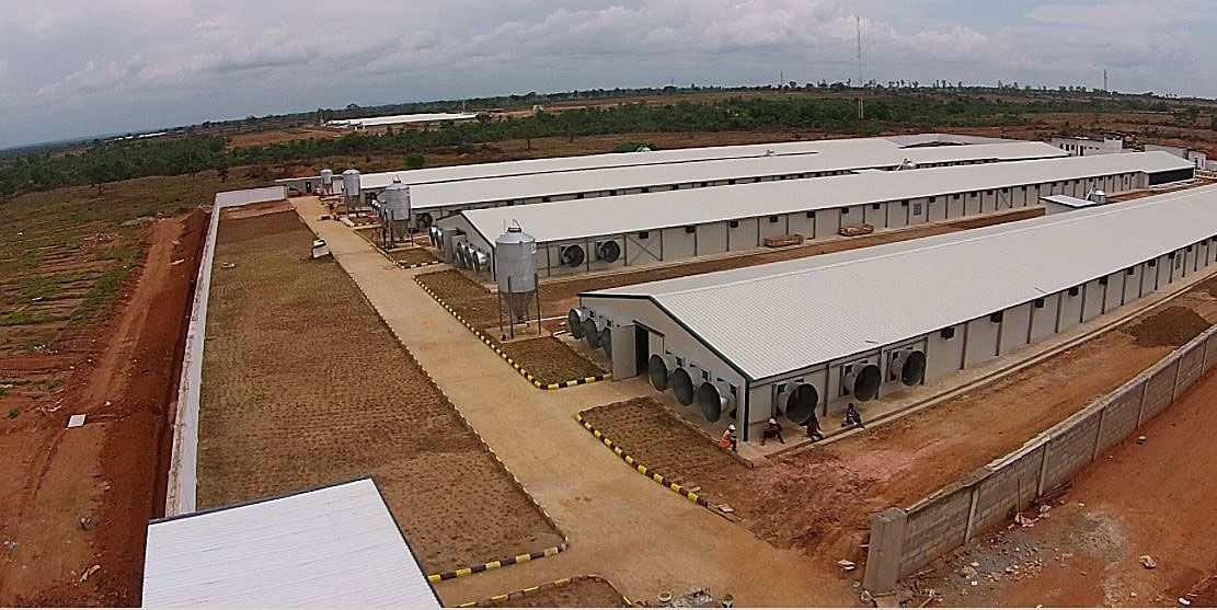 Prefabricated Industrial Construction Building Hot Deep Galvanized Steel Structure Metal Corrosion Resisting Poultry House