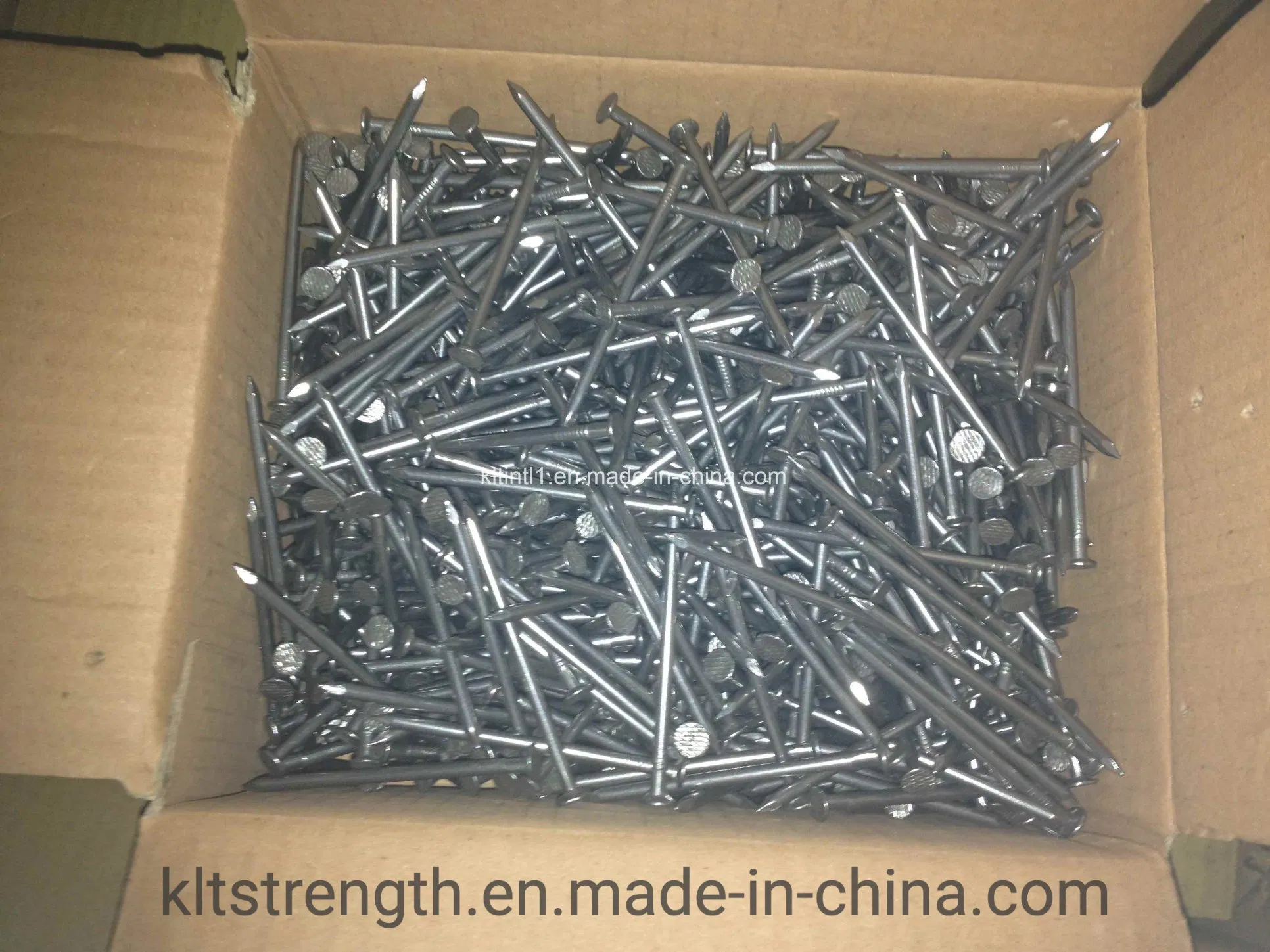 Common Round Iron Wire Nail