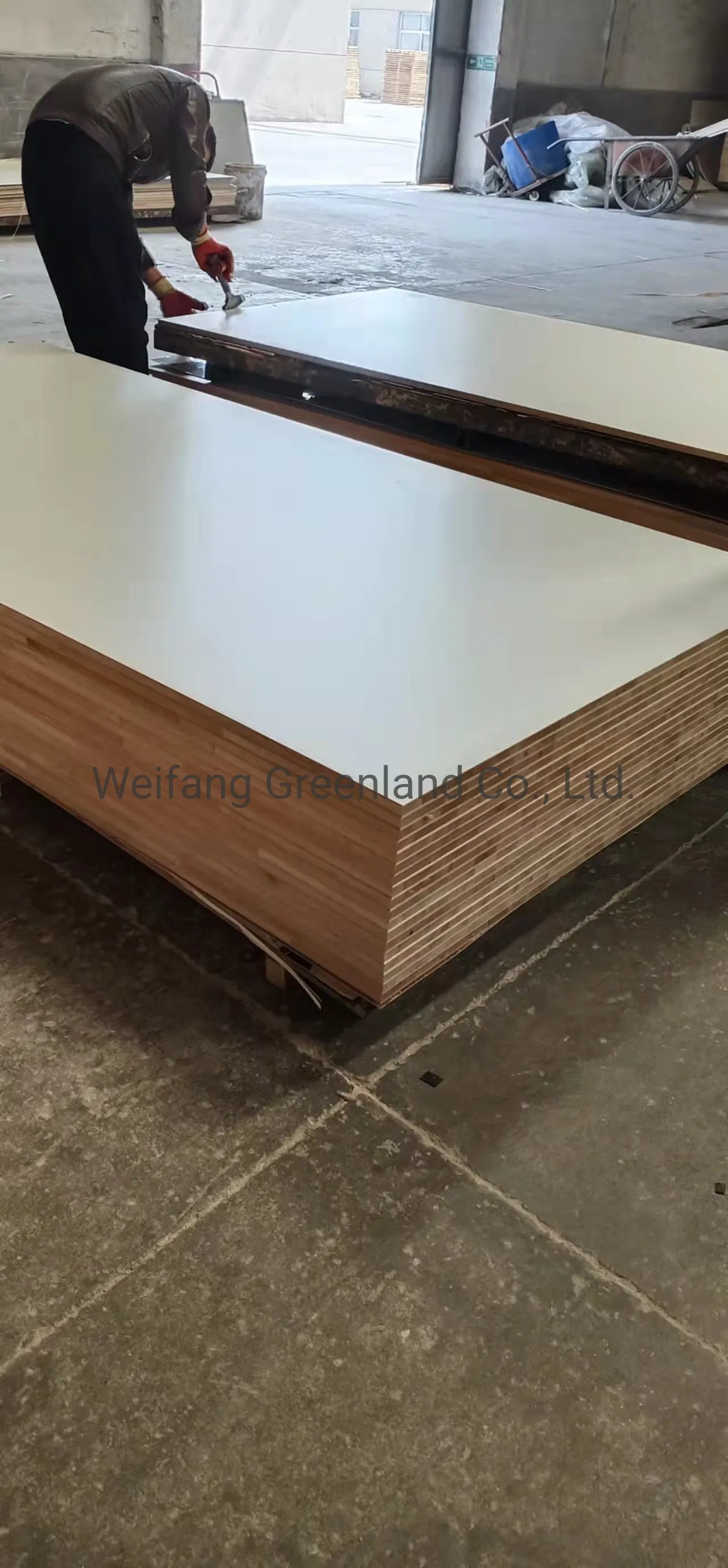 E1 Grade Falcata Core Melamine Laminated Block Board /Furniture Board for Wardrobe Produce