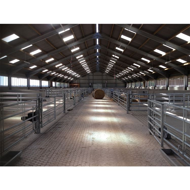 Anti-Seismic Design Cattle Shed Prefab Steel Structure Cow Shed
