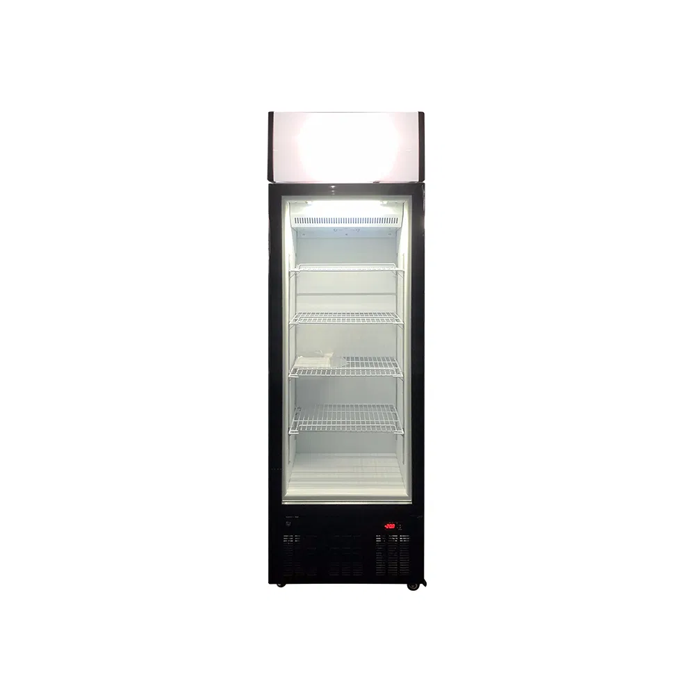 Lsd-268 Upright Freezing Showcase Display Freezer