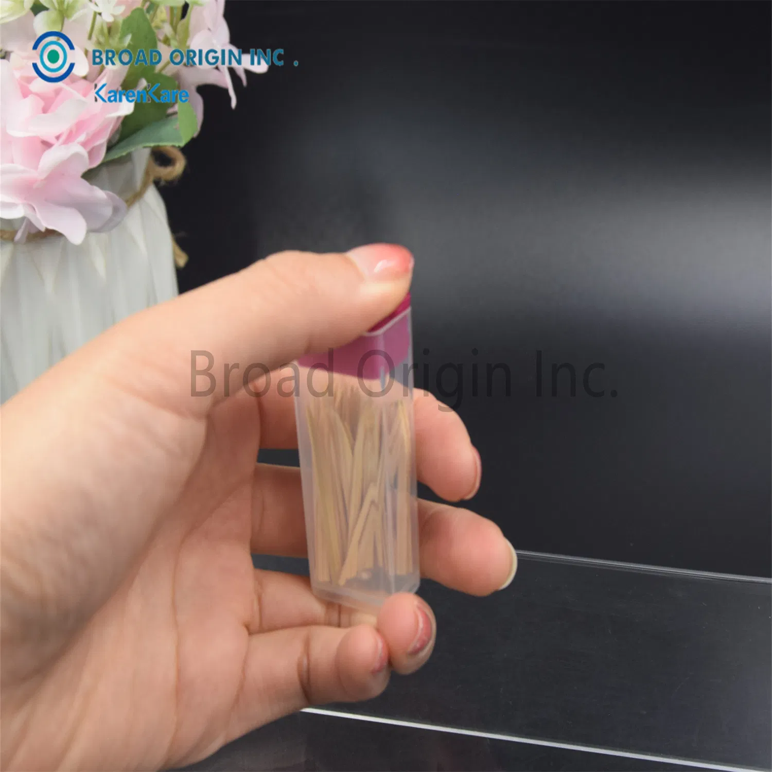 Eco-Friendly Bamboo Toothpicks Biodegradable for Teeth Cleaning Interdental Brush Picks