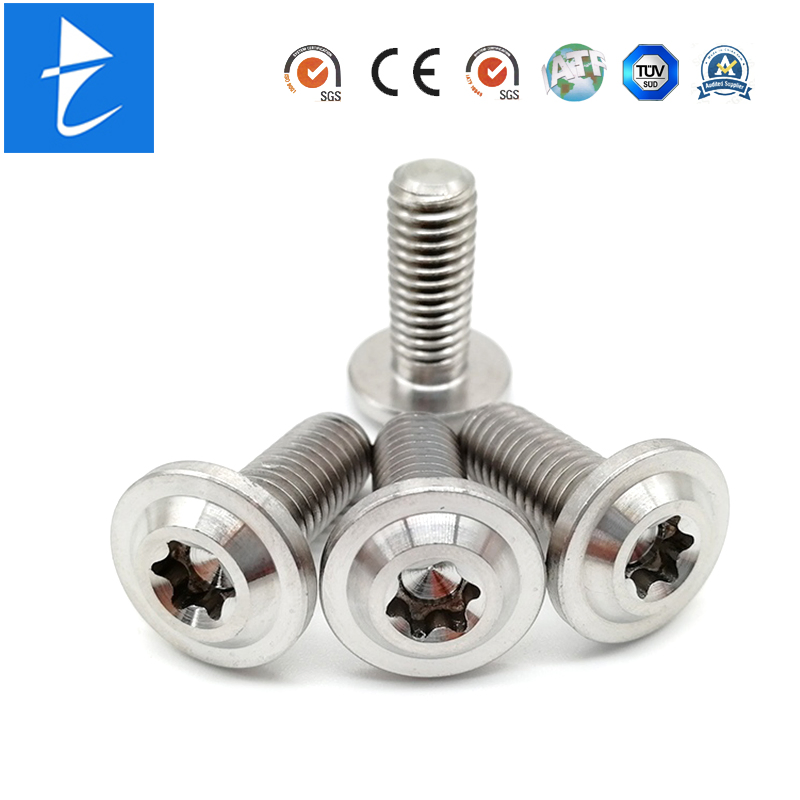 Custom Metal Titanium Grub Round Torx Socket Cap Head Captive Machine Screw