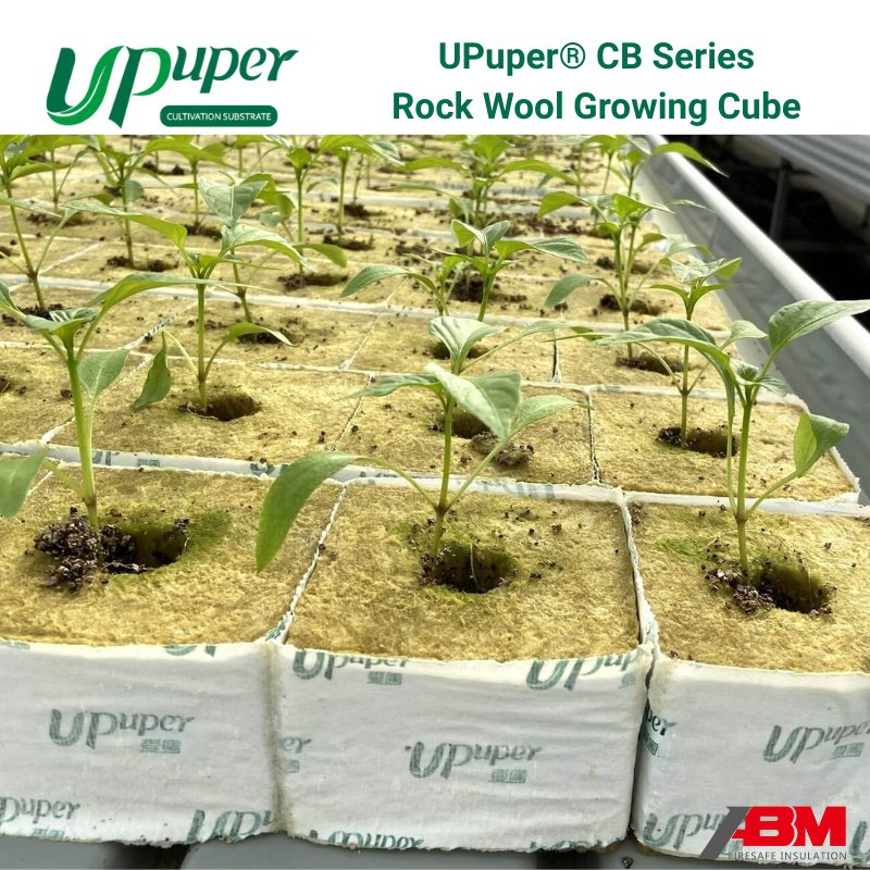 Upuper® CB Growing Block 4*4 Inch Smart Farm System Rose Plant Substrate Rock Wool Cubes for Seedling