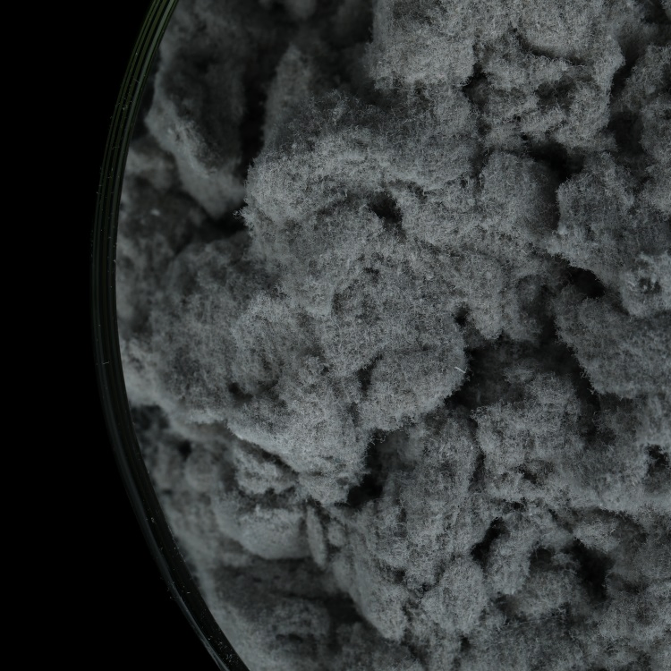 Good Quality Chemicals Wood Cellulose Fiber Building Materials Additives for Tile Adhesive Gypsum Based Plaster and Mortar