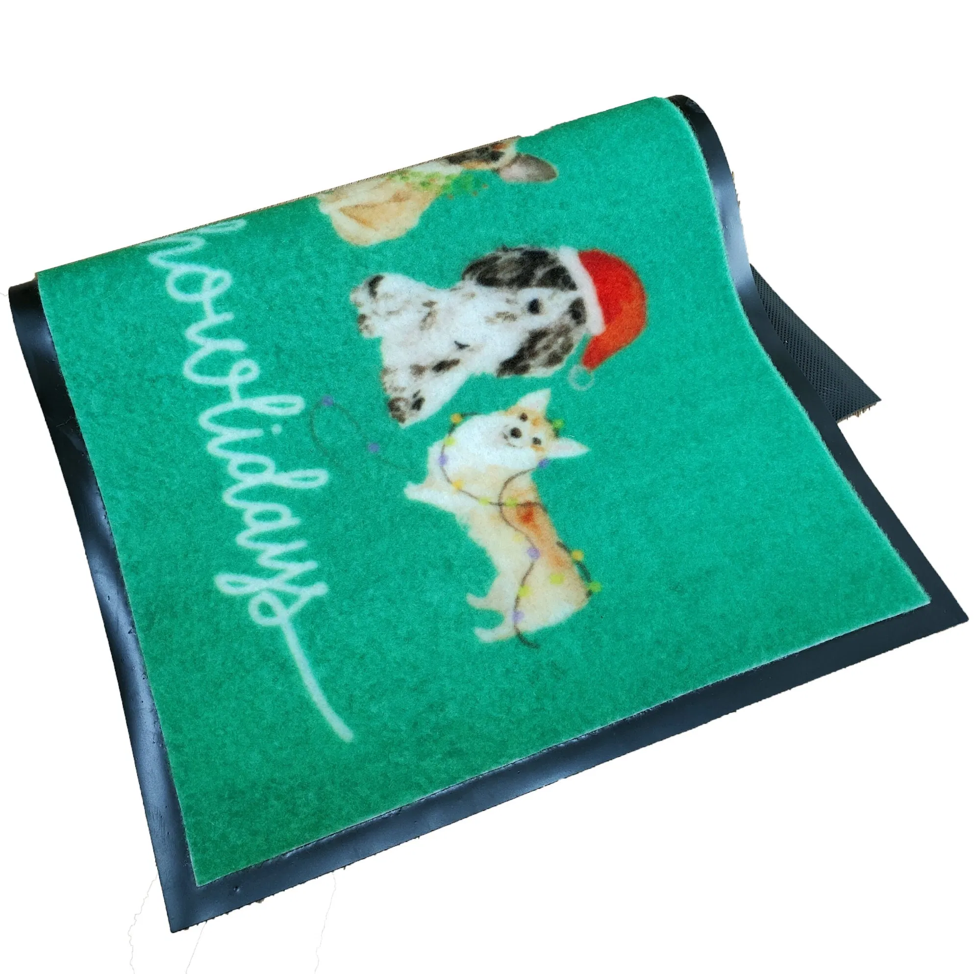 3D Digital Printing Pattern Kitchen Bathroom Anti-Slip Entrance Door Mat