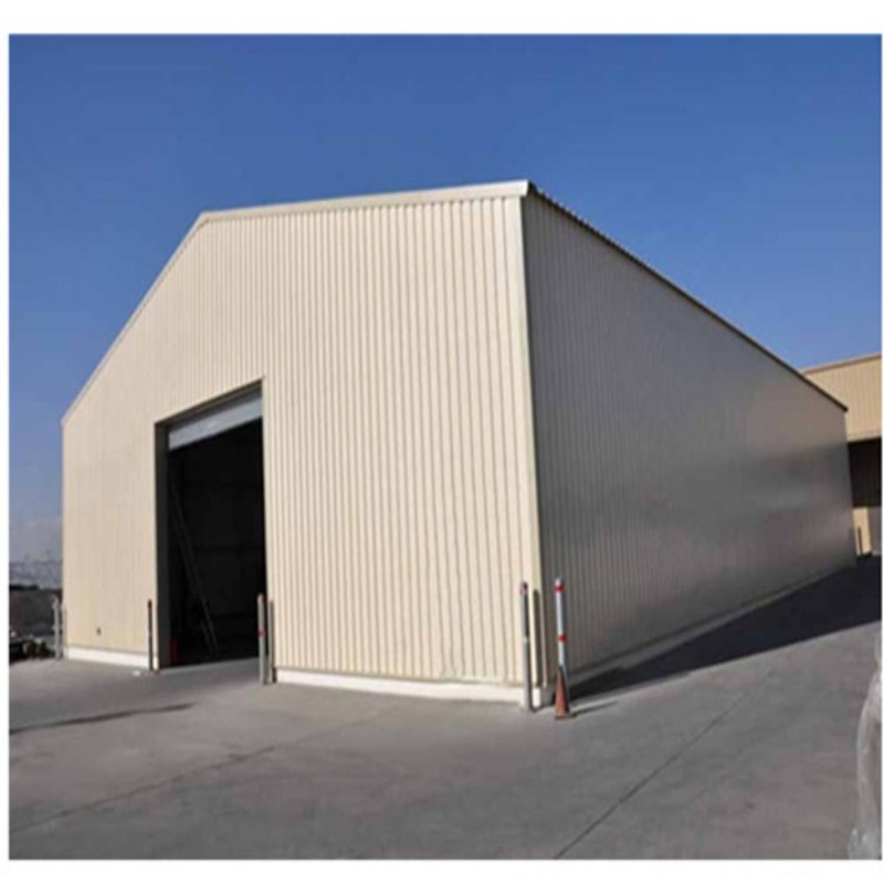Professional Design Prefabricated Steel Shed Construction Building
