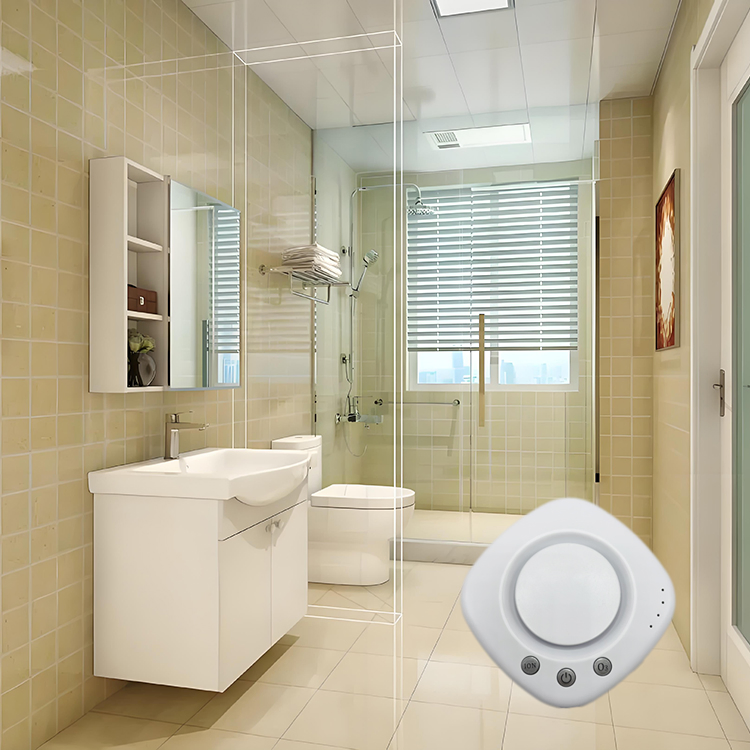 Small Plasma Ion Ozone Air Purifier for Indoor Use