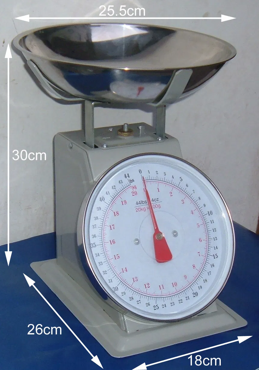 Kitchen Scale Iron Spring Scale