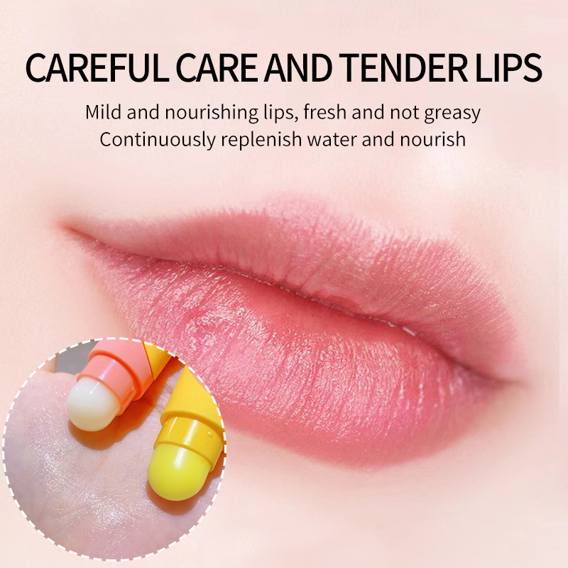 Lip Care Lasting Moisturizing Repair Plumper 2-in-1 Day and Night Lip Balm