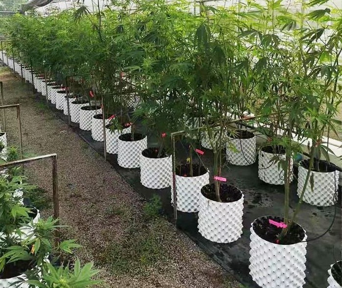 Nursery Plastic Pot PE 0.8mm Root Pruning Container with UV Resistance