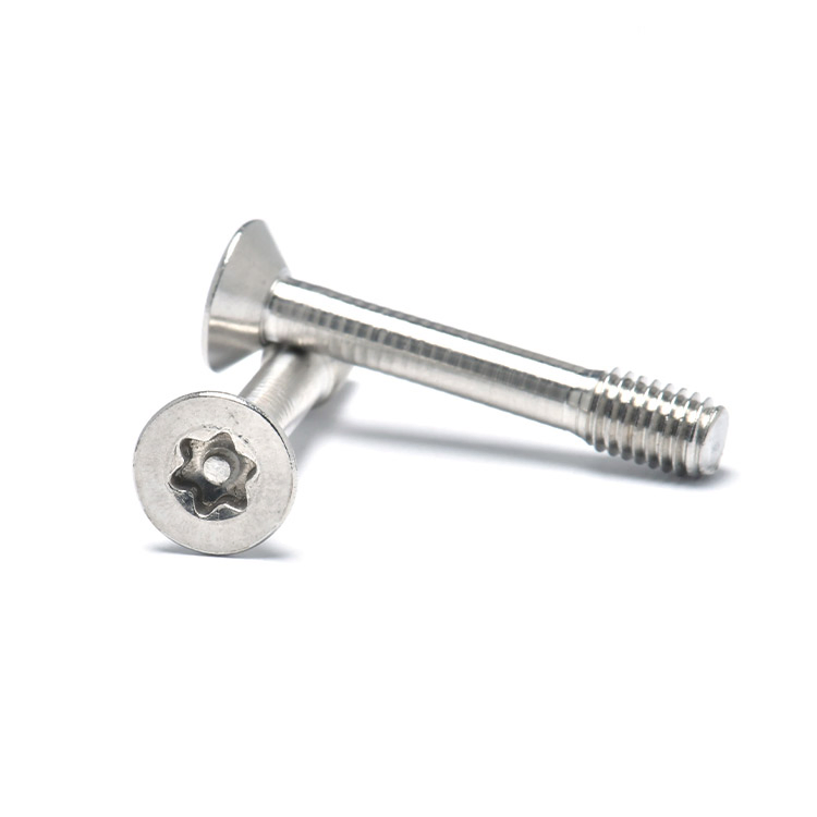 Винты самоконтрящиеся Torx с пином SS304
