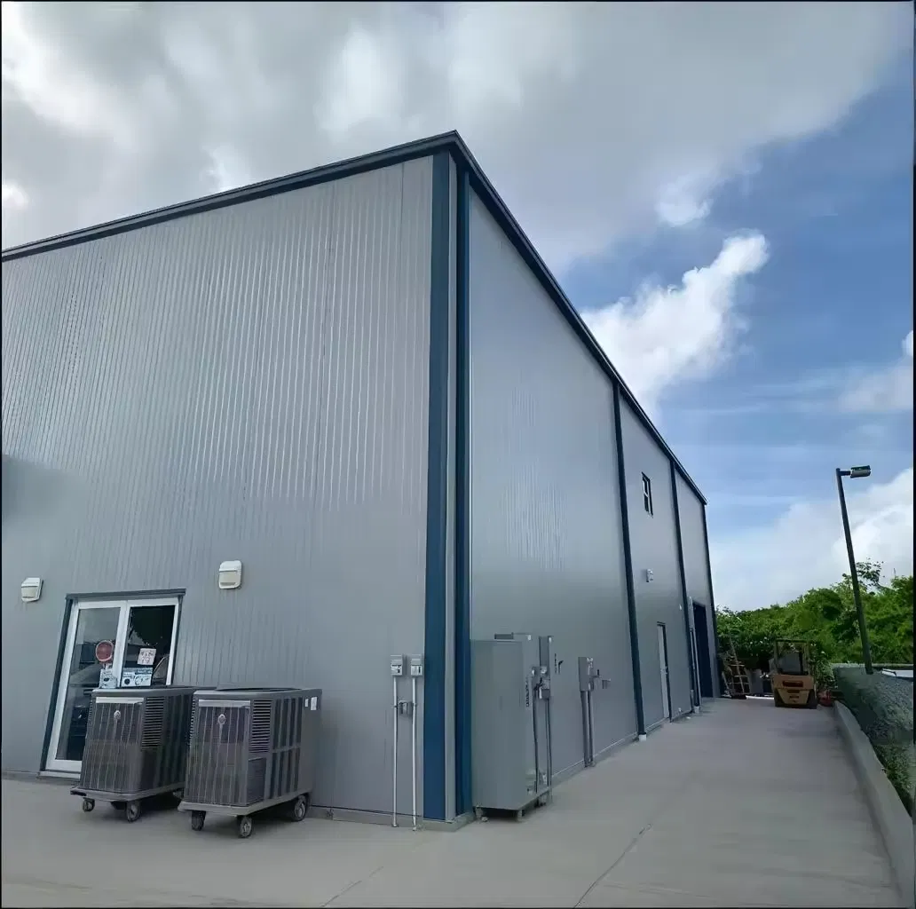 Steel Column Q235 Ridge Customized Prefabricated Metal Building for Sale