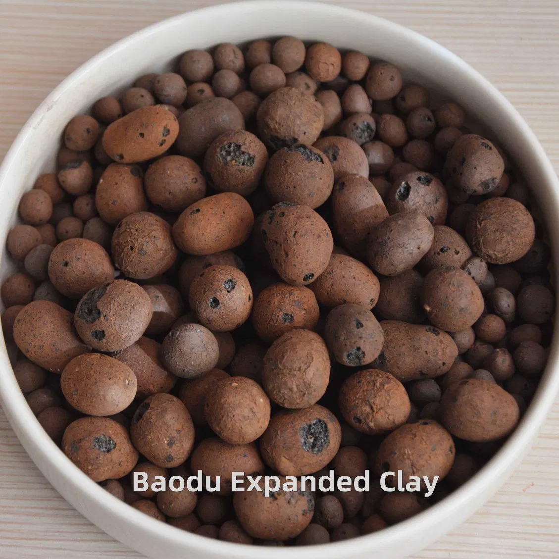 Expanded Clay Dor Seeding for Hydroponic