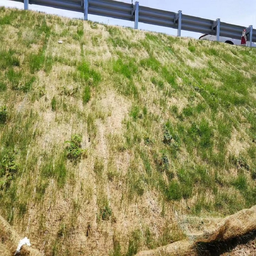 Durable Coconut Fiber Carpet for Embankment Protection and Erosion Control