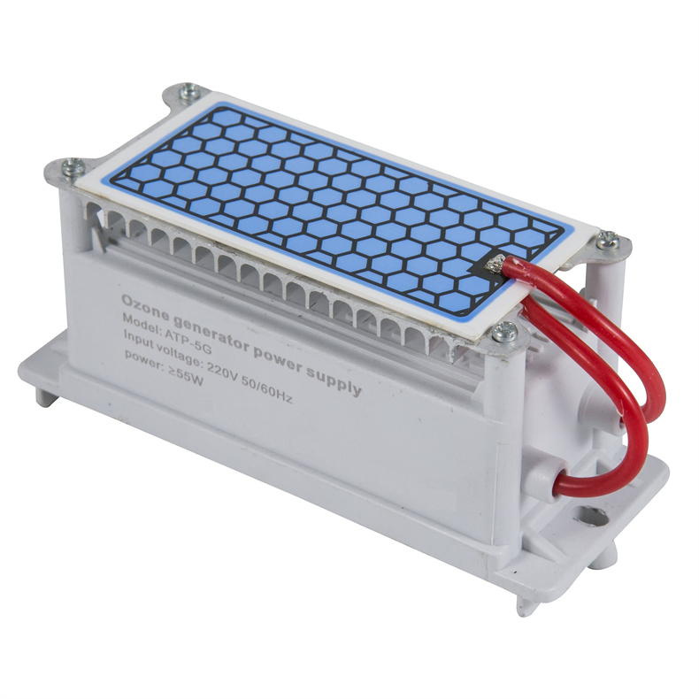 Portable Replacement 12/24/110/220V 5/10/15/20g Ceramic Plate Ozone Generator