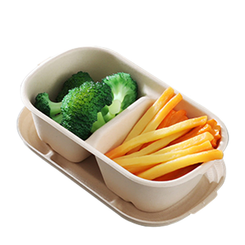 2 Comp. Sugarcane Bagasse Takeaway Lunch Box Disposable Biodegradable Food Container