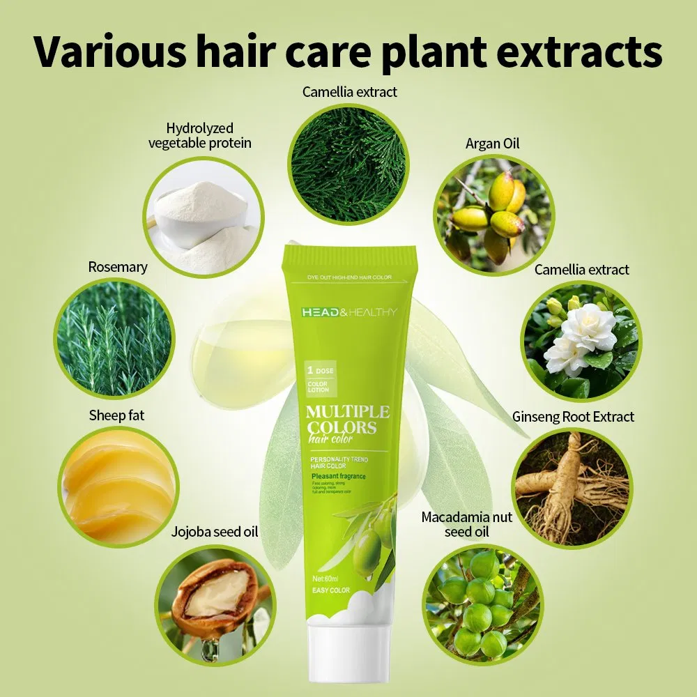 Private Label Hair Dye Shampoo 2 in 1 Color Depositing Shampoo
